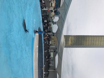 四国水族館に投稿された画像（2020/6/21）