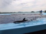 四国水族館に投稿された画像（2020/6/21）