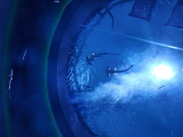 四国水族館に投稿された画像（2020/6/21）