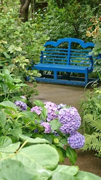 横浜イングリッシュガーデンに投稿された画像（2020/6/21）