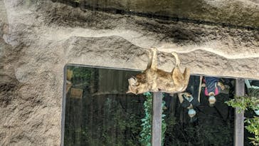 神戸どうぶつ王国に投稿された画像（2020/6/21）