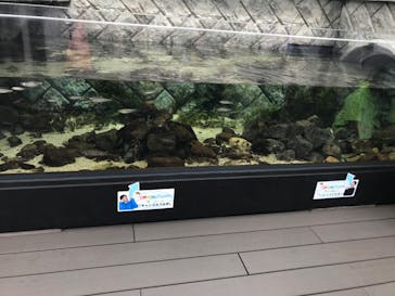 四国水族館に投稿された画像（2020/6/21）