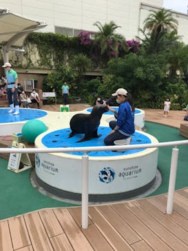 サンシャイン水族館に投稿された画像（2020/6/21）