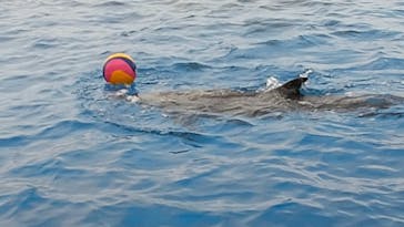 四国水族館に投稿された画像（2020/6/21）