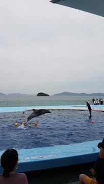 四国水族館に投稿された画像（2020/6/21）