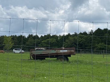 マザー牧場に投稿された画像（2020/6/21）