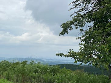 マザー牧場に投稿された画像（2020/6/21）