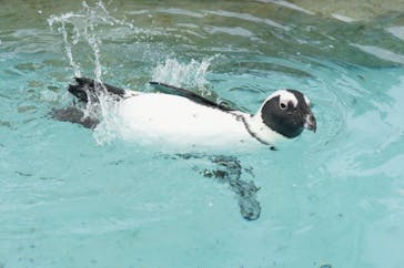 マリンワールド海の中道に投稿された画像（2020/6/21）