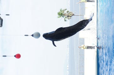 マリンワールド海の中道に投稿された画像（2020/6/21）