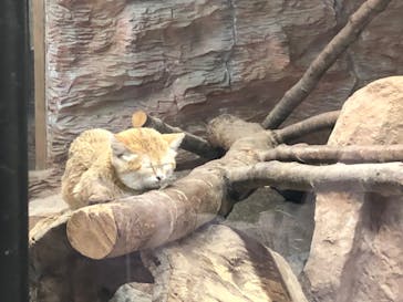 那須どうぶつ王国に投稿された画像（2020/6/21）