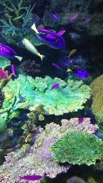 サンシャイン水族館に投稿された画像（2020/6/22）