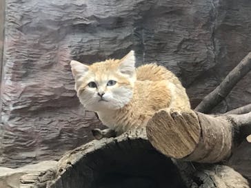 那須どうぶつ王国に投稿された画像（2020/6/22）