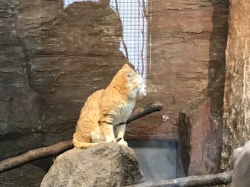 那須どうぶつ王国に投稿された画像（2020/6/22）