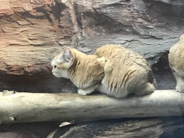 那須どうぶつ王国に投稿された画像（2020/6/22）