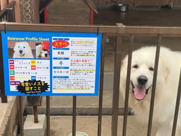 IPCわんわん動物園に投稿された画像（2020/6/22）