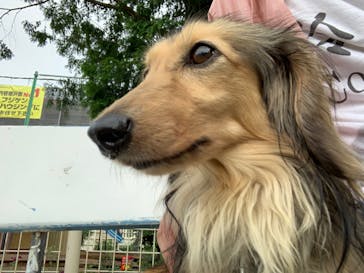 IPCわんわん動物園に投稿された画像（2020/6/22）