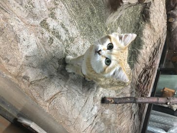 那須どうぶつ王国に投稿された画像（2020/6/22）