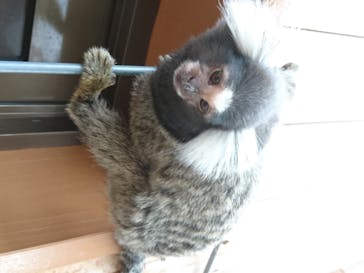 神戸どうぶつ王国に投稿された画像（2020/6/22）