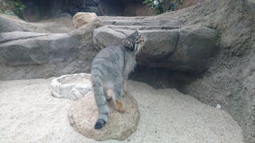 神戸どうぶつ王国に投稿された画像（2020/6/22）