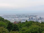 神戸布引ハーブ園／ロープウェイに投稿された画像（2020/6/23）