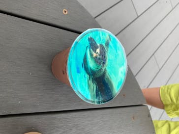 四国水族館に投稿された画像（2020/6/23）