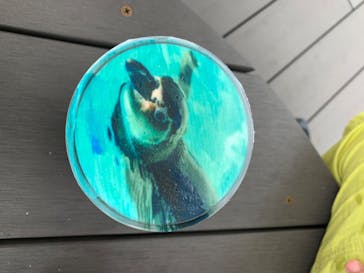 四国水族館に投稿された画像（2020/6/23）