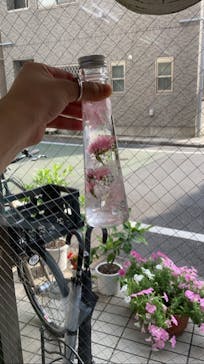 ずこうしつ〜sugamo〜に投稿された画像（2020/6/23）