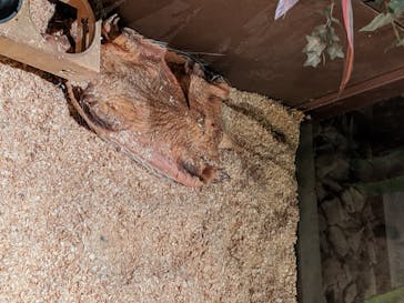 オービィ横浜に投稿された画像（2020/6/23）