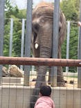 しろとり動物園に投稿された画像（2020/6/23）