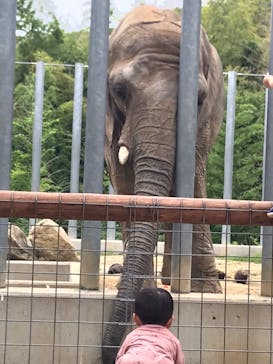 しろとり動物園に投稿された画像（2020/6/23）