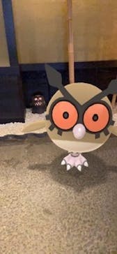 横浜みなとみらい 万葉倶楽部に投稿された画像（2020/6/23）