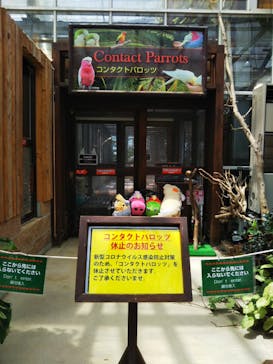 神戸どうぶつ王国に投稿された画像（2020/6/24）