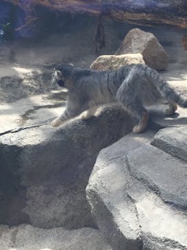 神戸どうぶつ王国に投稿された画像（2020/6/24）