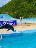 下田海中水族館に投稿された画像（2020/6/25）