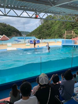 下田海中水族館に投稿された画像（2020/6/24）