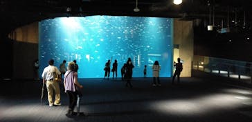 四国水族館に投稿された画像（2020/6/25）