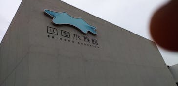 四国水族館に投稿された画像（2020/6/25）