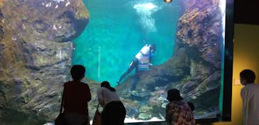 四国水族館に投稿された画像（2020/6/25）