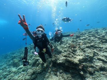 DIVING-SHOP SUNSに投稿された画像（2020/6/25）