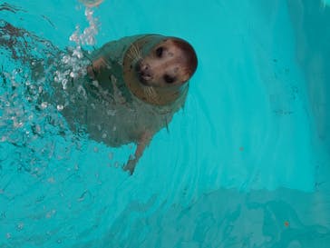 マリンワールド海の中道に投稿された画像（2020/6/25）