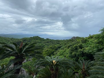 アスムイハイクスに投稿された画像（2020/6/25）