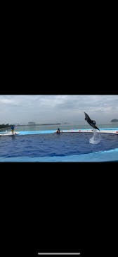 四国水族館に投稿された画像（2020/6/26）