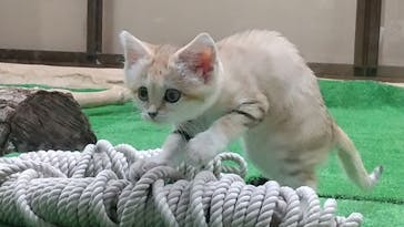 那須どうぶつ王国に投稿された画像（2020/6/26）