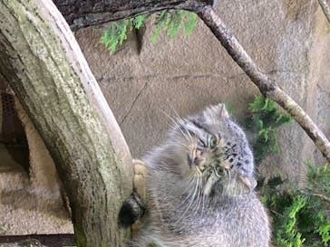 那須どうぶつ王国に投稿された画像（2020/6/26）