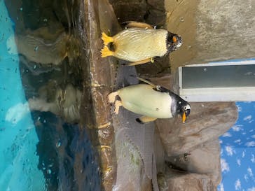 那須どうぶつ王国に投稿された画像（2020/6/26）