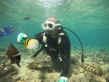 青の洞窟専門店　沖縄ダイビングショップ和に投稿された画像（2020/6/26）