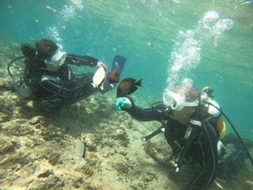 青の洞窟専門店　沖縄ダイビングショップ和に投稿された画像（2020/6/26）