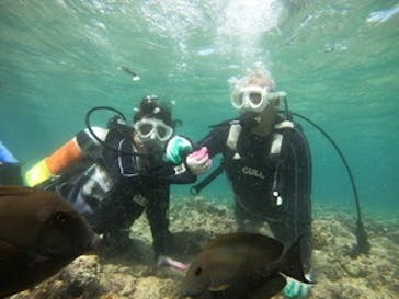 青の洞窟専門店　沖縄ダイビングショップ和に投稿された画像（2020/6/26）