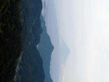 伊豆パノラマパークに投稿された画像（2020/6/27）