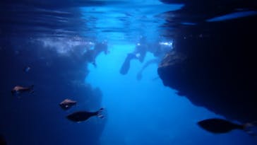 ダイビングショップ Sea Free（シーフリー）に投稿された画像（2020/6/27）